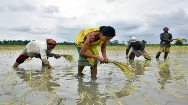 Credit card for Farmers -  Apply soon