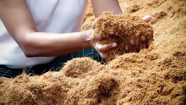 Inspiring Youth in Chennai, Anees Ahmed make millions of dollars from leftover coconut coir..!